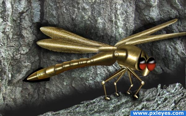 Armoured dragonfly